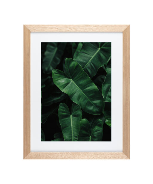 Large Green Leaf Flora FOLHAGENS_02 - Image 2