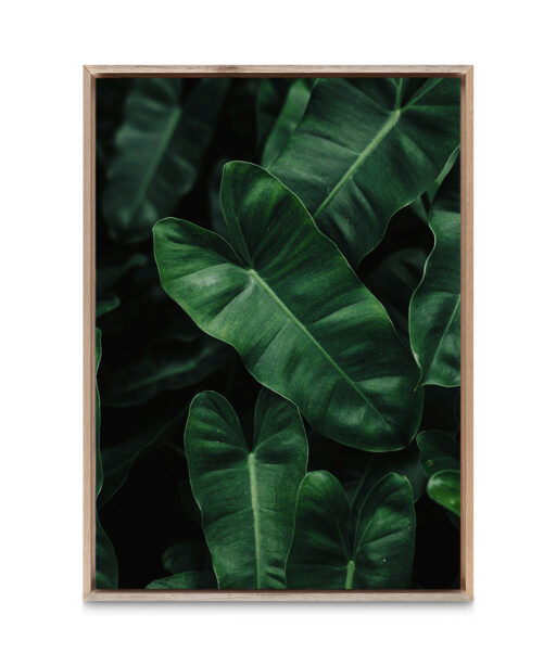 Large Green Leaf Flora FOLHAGENS_02 - Image 5