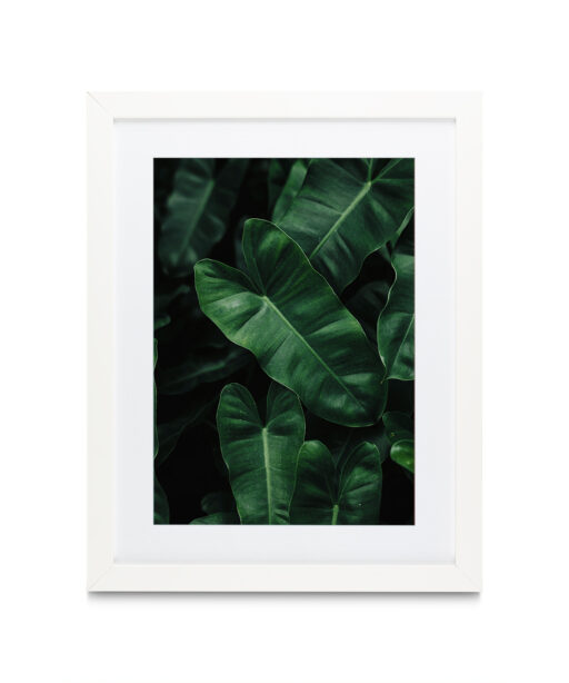 Large Green Leaf Flora FOLHAGENS_02 - Image 3