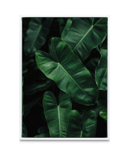 Large Green Leaf Flora FOLHAGENS_02 - Image 6