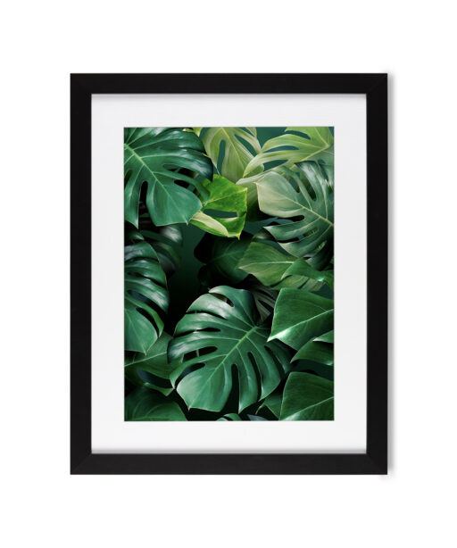 Monstera Leaf Flora FOLHAGENS_03 - Image 4