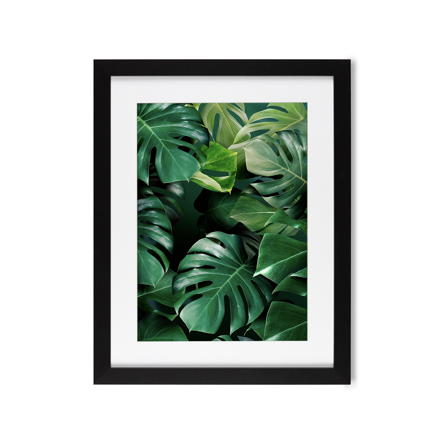 Monstera Leaf Flora FOLHAGENS_03 - Image 4