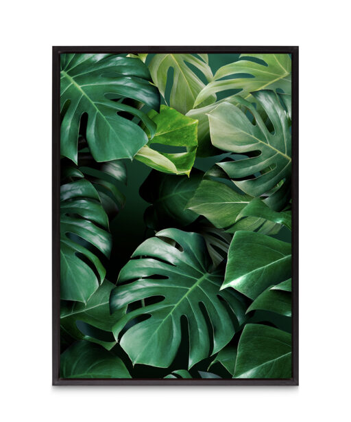 Monstera Leaf Flora FOLHAGENS_03 - Image 8