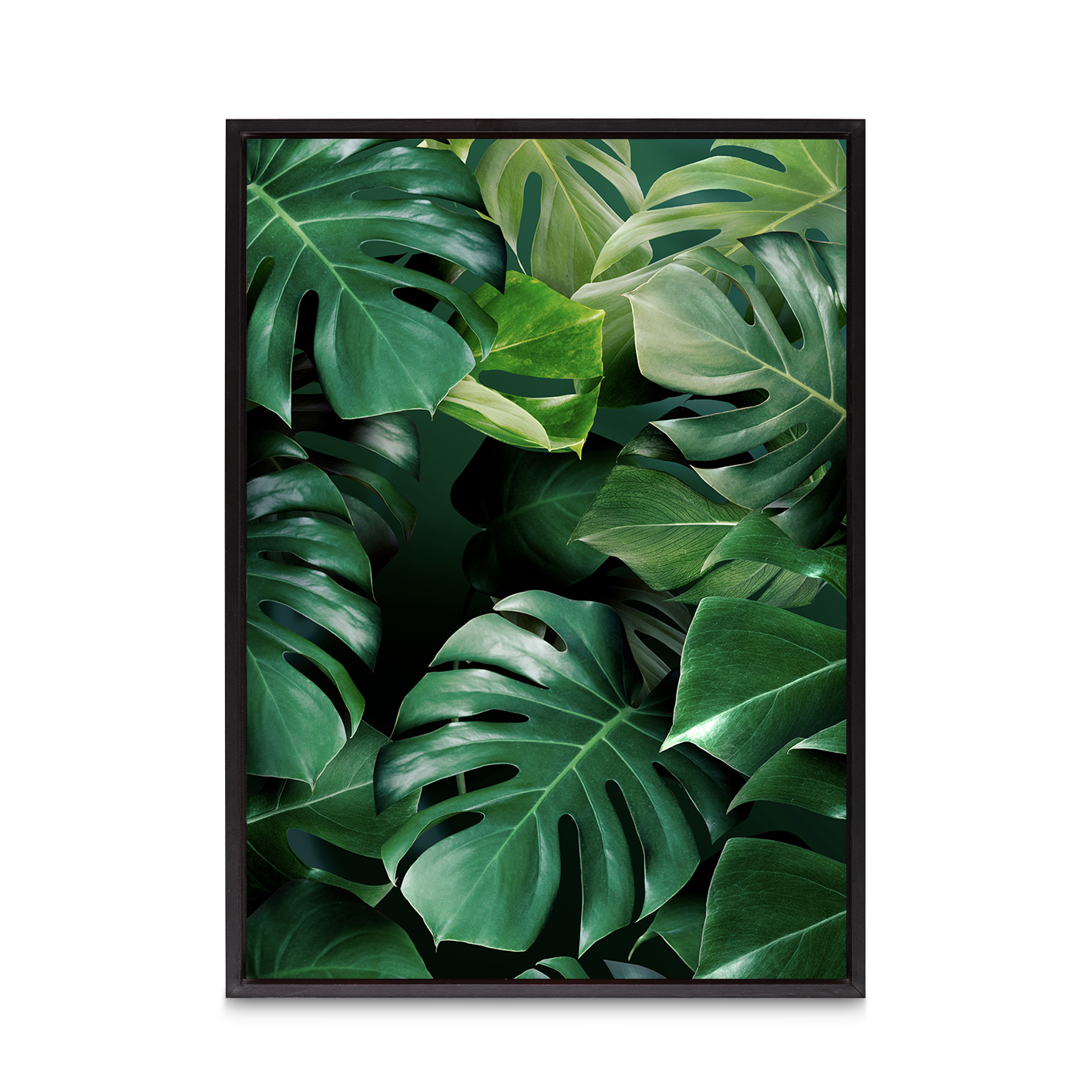 Monstera Leaf Flora FOLHAGENS_03 - Image 8