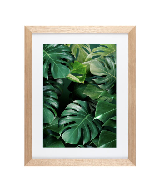 Monstera Leaf Flora FOLHAGENS_03 - Image 2