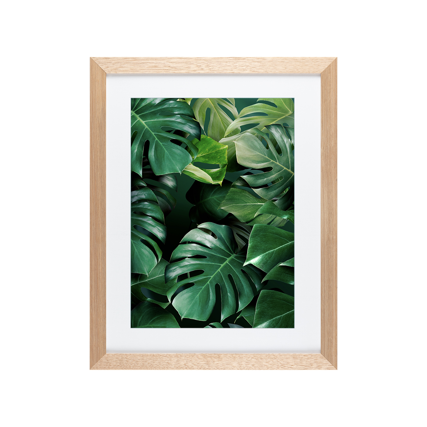 Monstera Leaf Flora FOLHAGENS_03 - Image 2