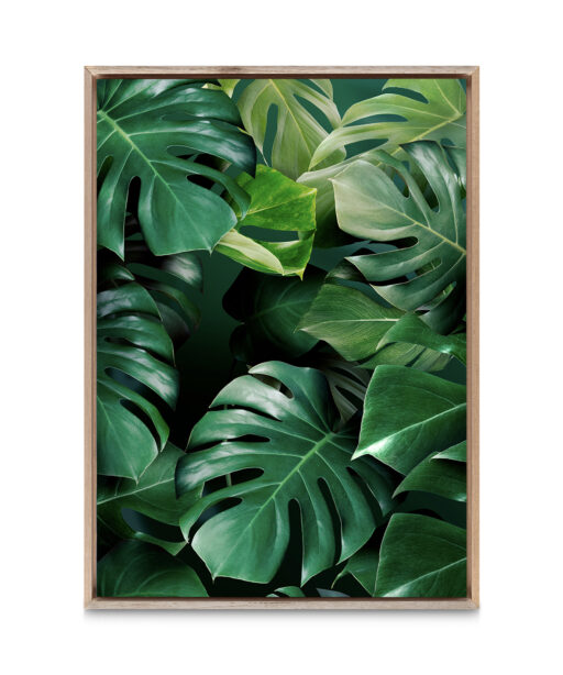 Monstera Leaf Flora FOLHAGENS_03 - Image 5
