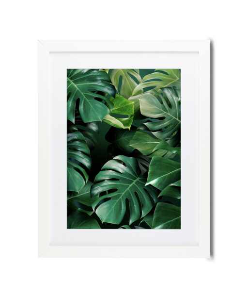 Monstera Leaf Flora FOLHAGENS_03 - Image 3