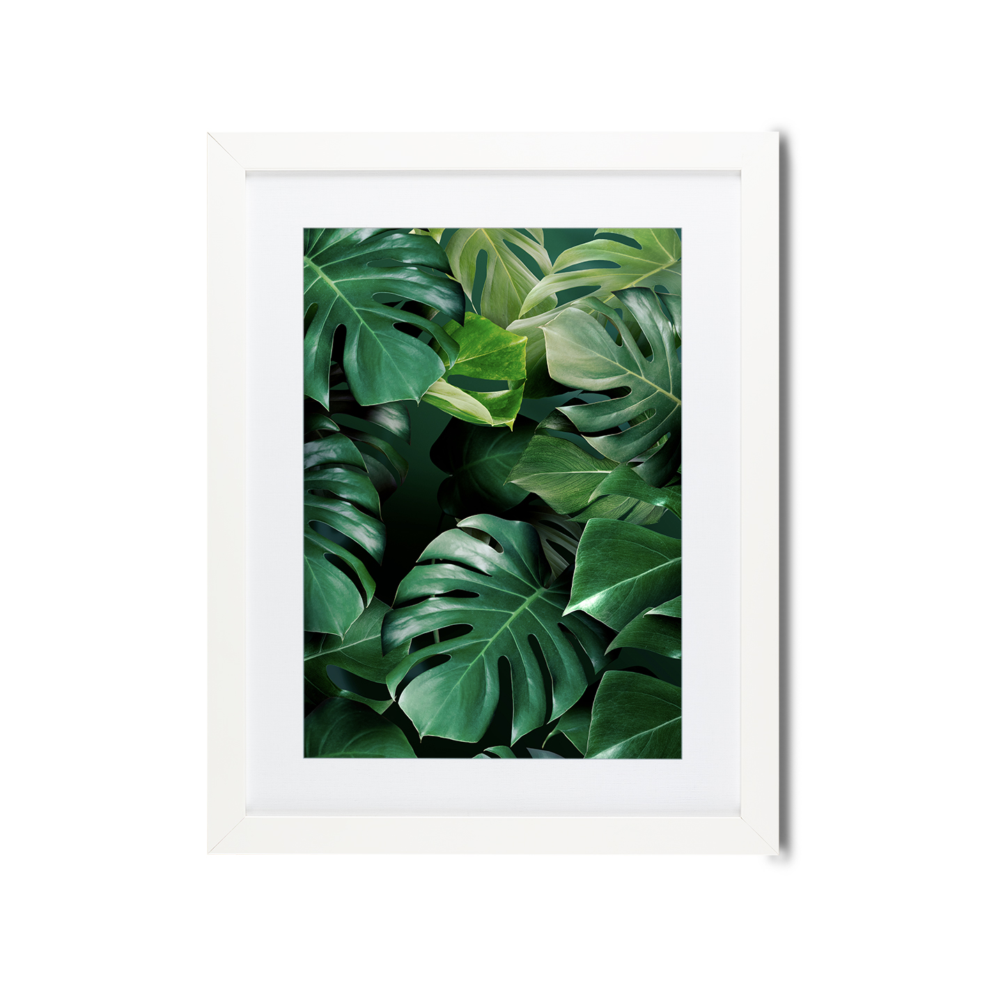 Monstera Leaf Flora FOLHAGENS_03 - Image 3