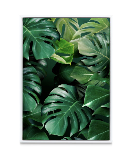 Monstera Leaf Flora FOLHAGENS_03 - Image 6