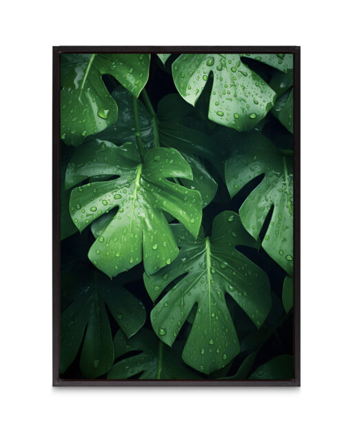 Monstera Leaf 2 Flora FOLHAGENS_4 - Image 8