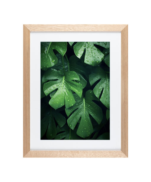 Alternative view of Monstera Leaf 2 Flora FOLHAGENS_4