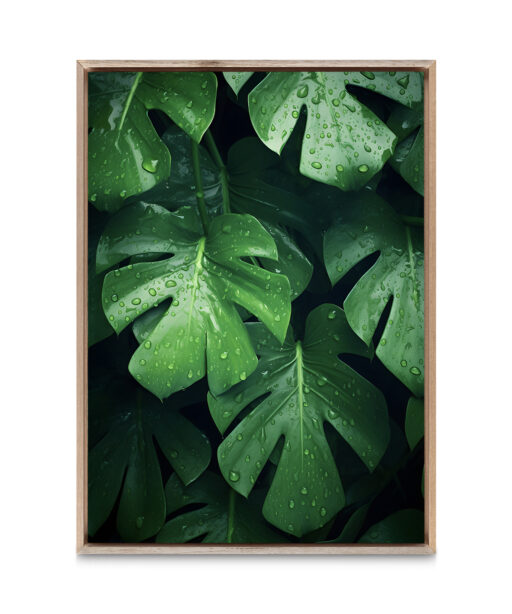 Monstera Leaf 2 Flora FOLHAGENS_4 - Image 5