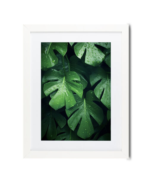 Monstera Leaf 2 Flora FOLHAGENS_4 - Image 3