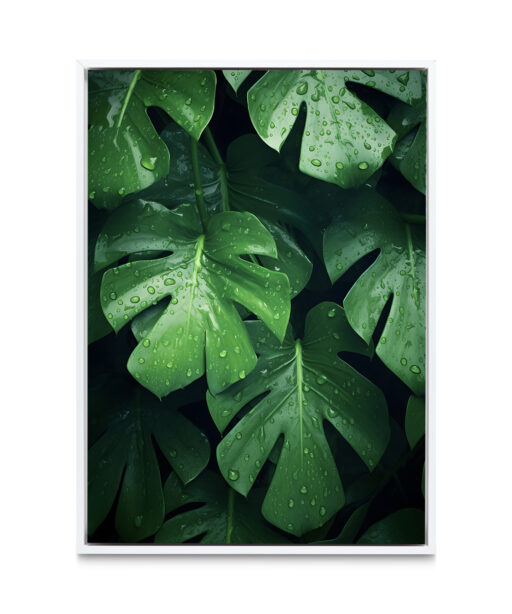 Monstera Leaf 2 Flora FOLHAGENS_4 - Image 6