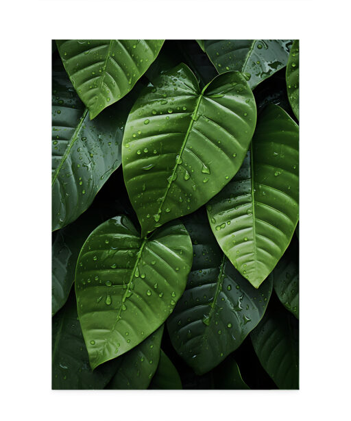 Layered Leaves 2 Flora FOLHAGENS_06 - Image 7