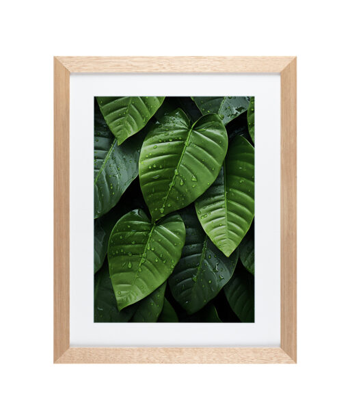 Alternative view of Layered Leaves 2 Flora FOLHAGENS_06