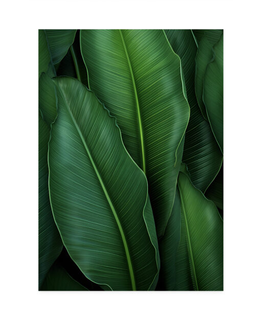 Banana Leaves Flora FOLHAGENS_07 - Image 7