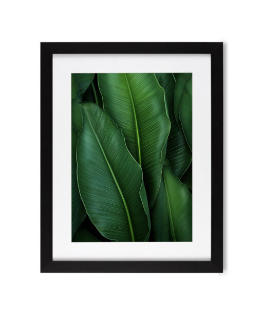 Banana Leaves Flora FOLHAGENS_07 - Image 4