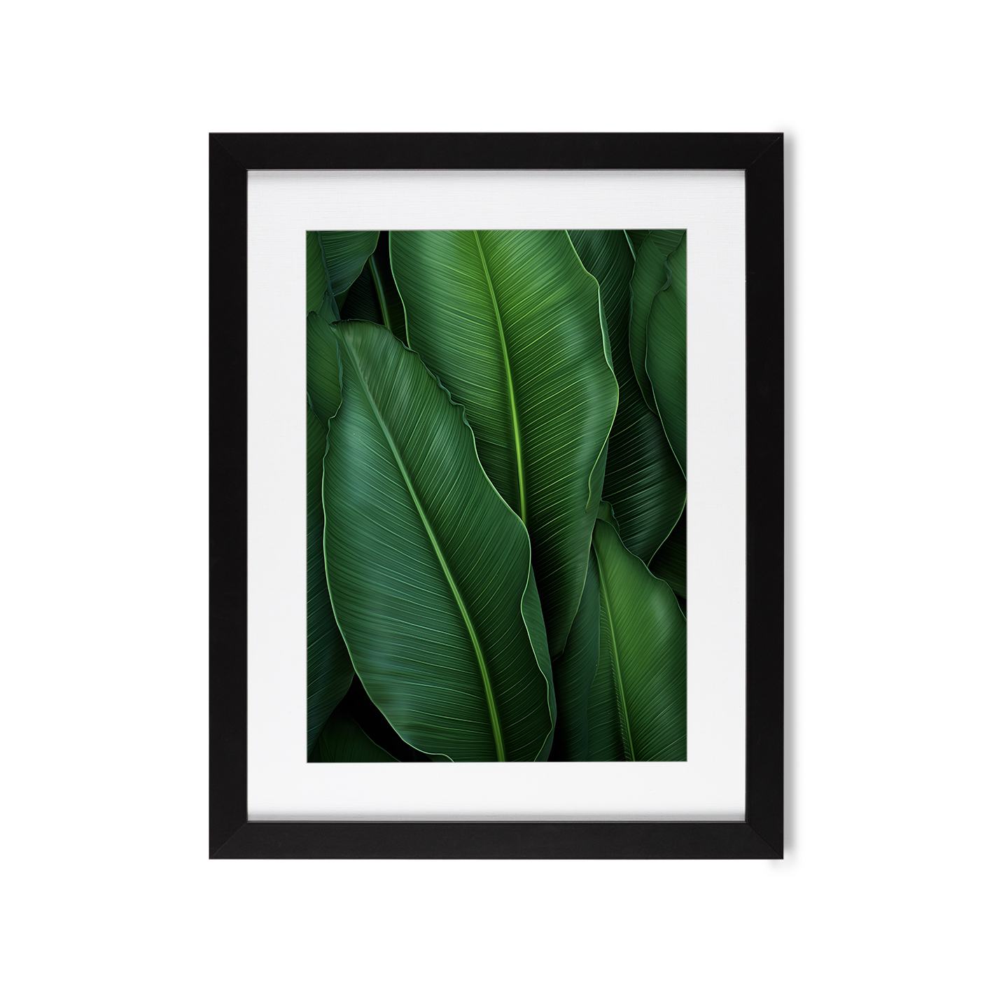 Banana Leaves Flora FOLHAGENS_07 - Image 4