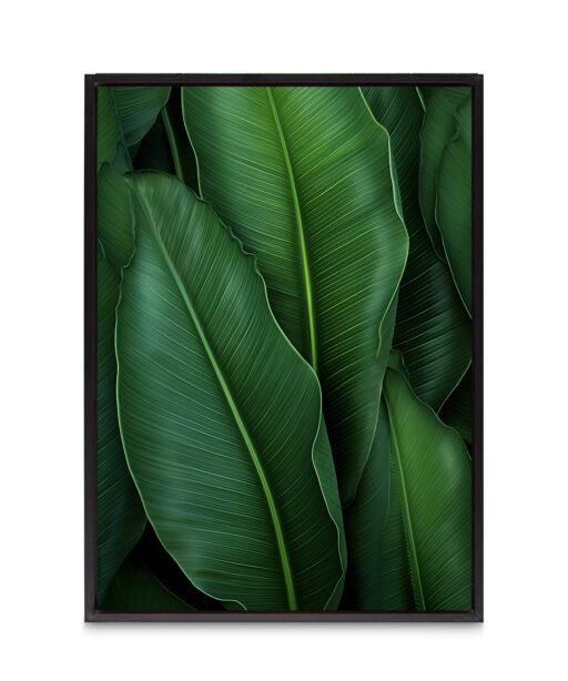 Banana Leaves Flora FOLHAGENS_07 - Image 8
