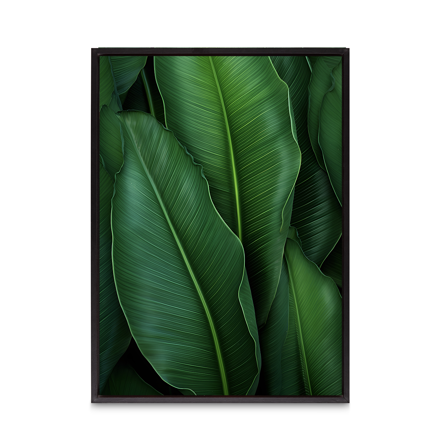 Banana Leaves Flora FOLHAGENS_07 - Image 8