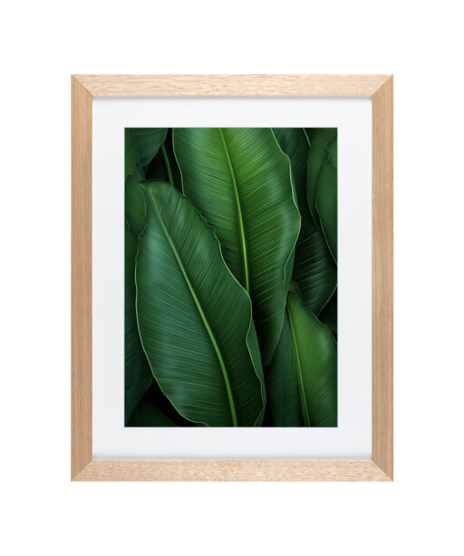 Alternative view of Banana Leaves Flora FOLHAGENS_07