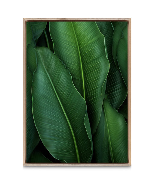 Banana Leaves Flora FOLHAGENS_07 - Image 5