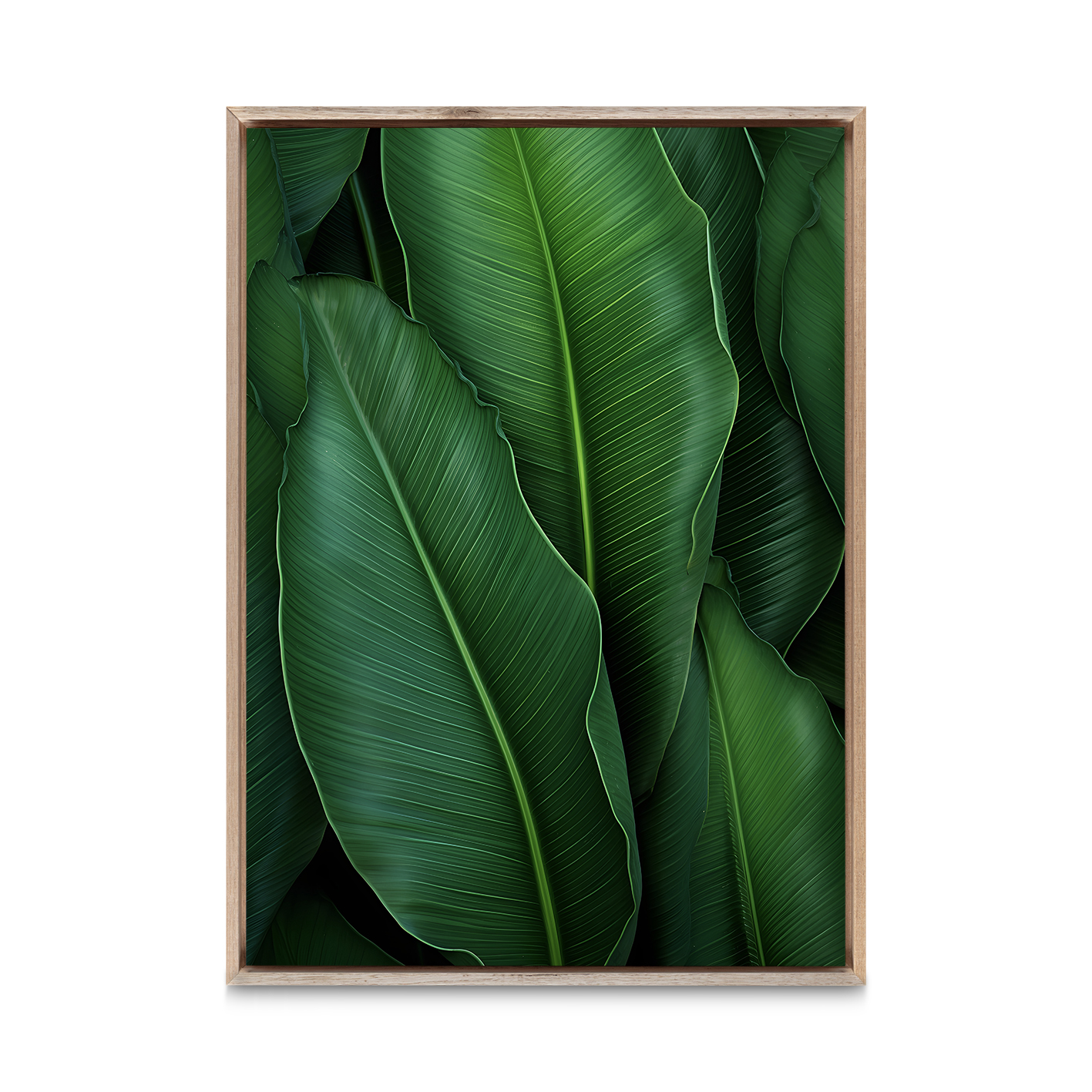 Banana Leaves Flora FOLHAGENS_07 - Image 5
