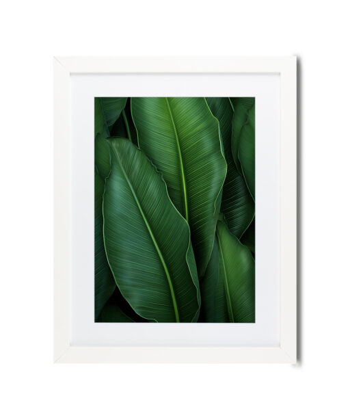 Banana Leaves Flora FOLHAGENS_07 - Image 3