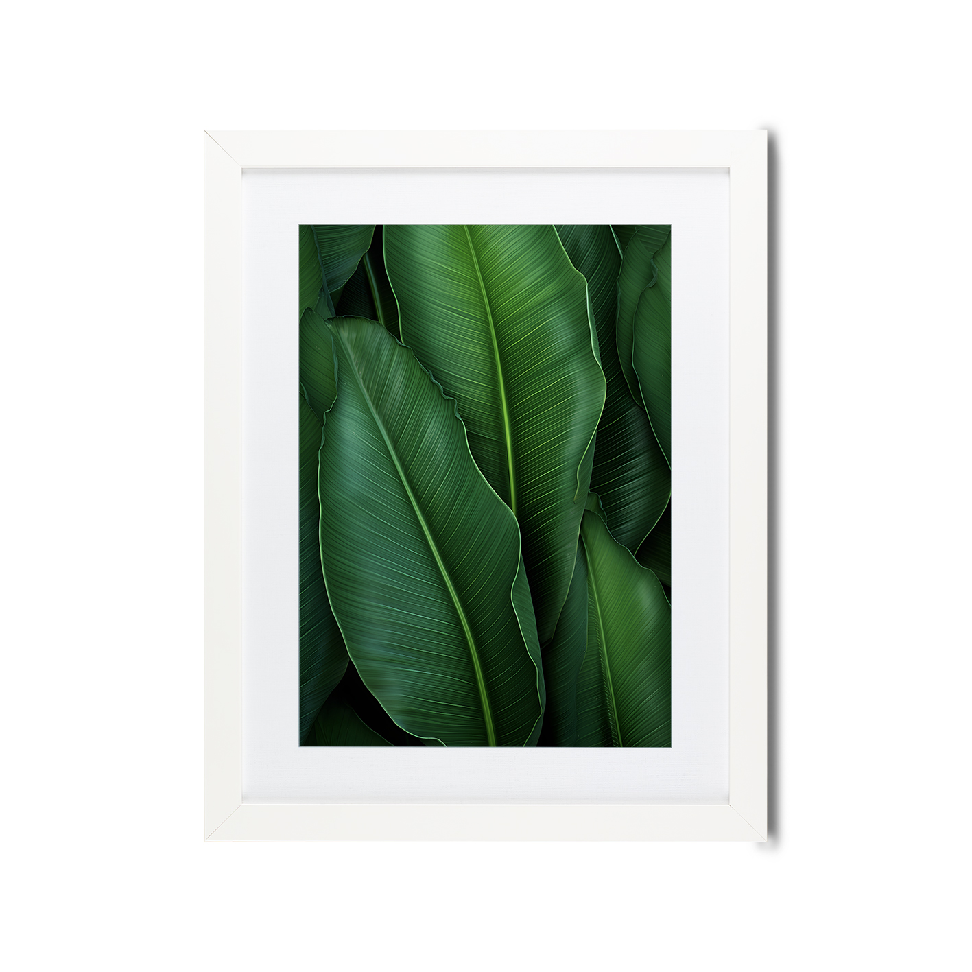 Banana Leaves Flora FOLHAGENS_07 - Image 3