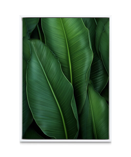 Banana Leaves Flora FOLHAGENS_07 - Image 6