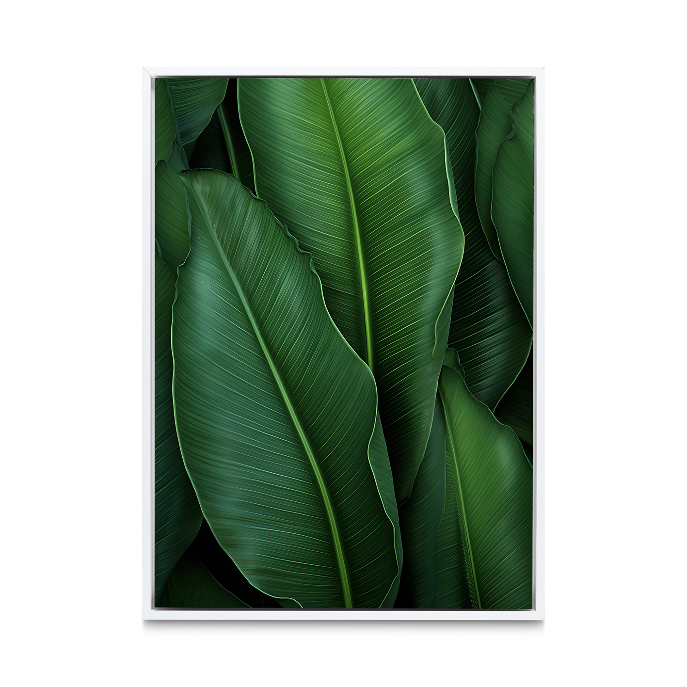 Banana Leaves Flora FOLHAGENS_07 - Image 6