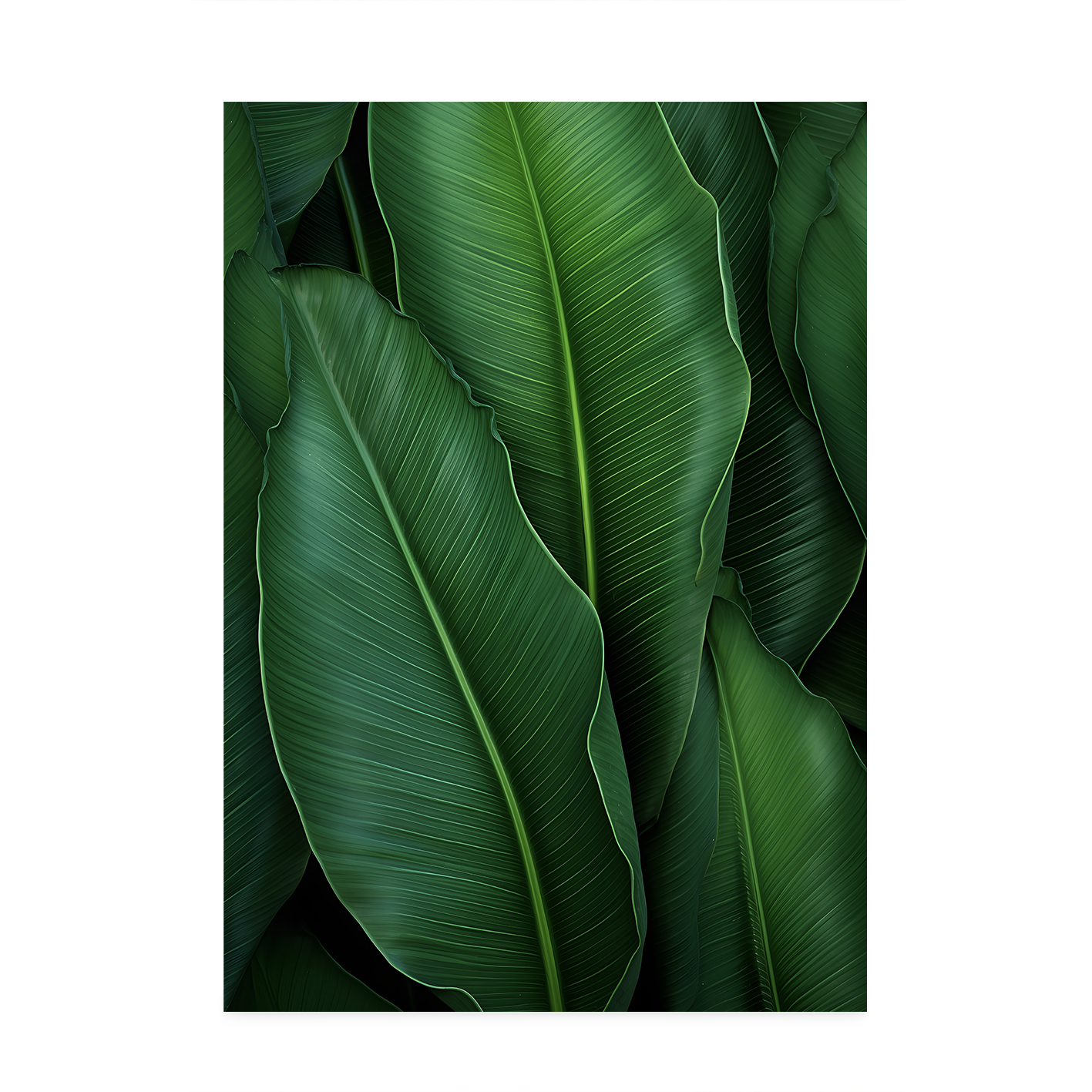 Banana Leaves Flora FOLHAGENS_07 - Image 7
