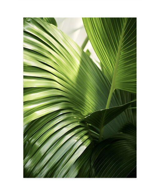 Green Palm Fronds Flora FOLHAGENS_09 - Image 7