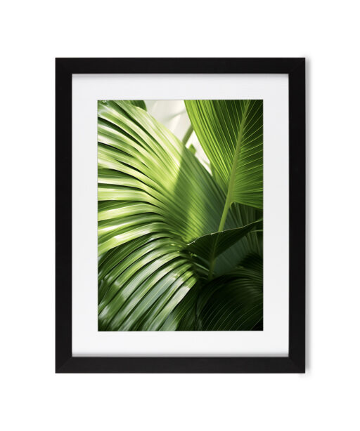 Green Palm Fronds Flora FOLHAGENS_09 - Image 4