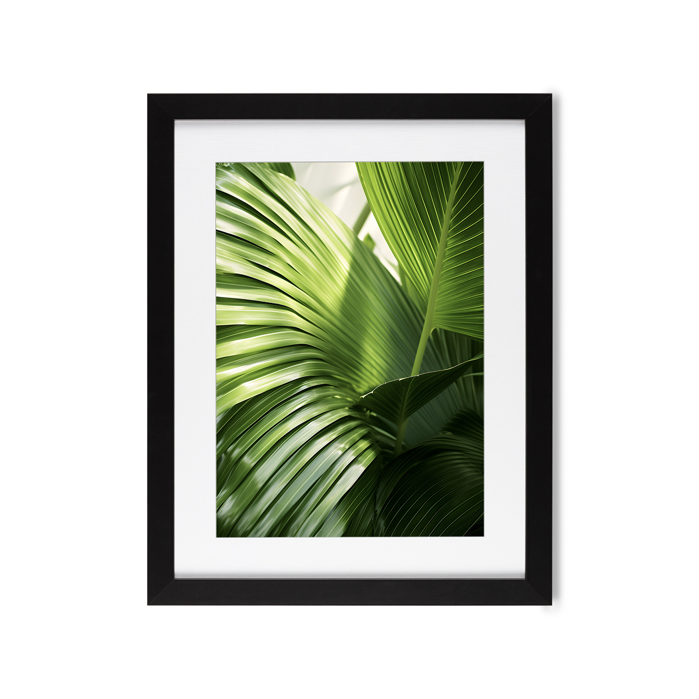 Green Palm Fronds Flora FOLHAGENS_09 - Image 4