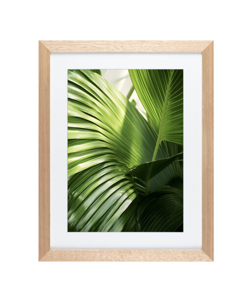 Alternative view of Green Palm Fronds Flora FOLHAGENS_09