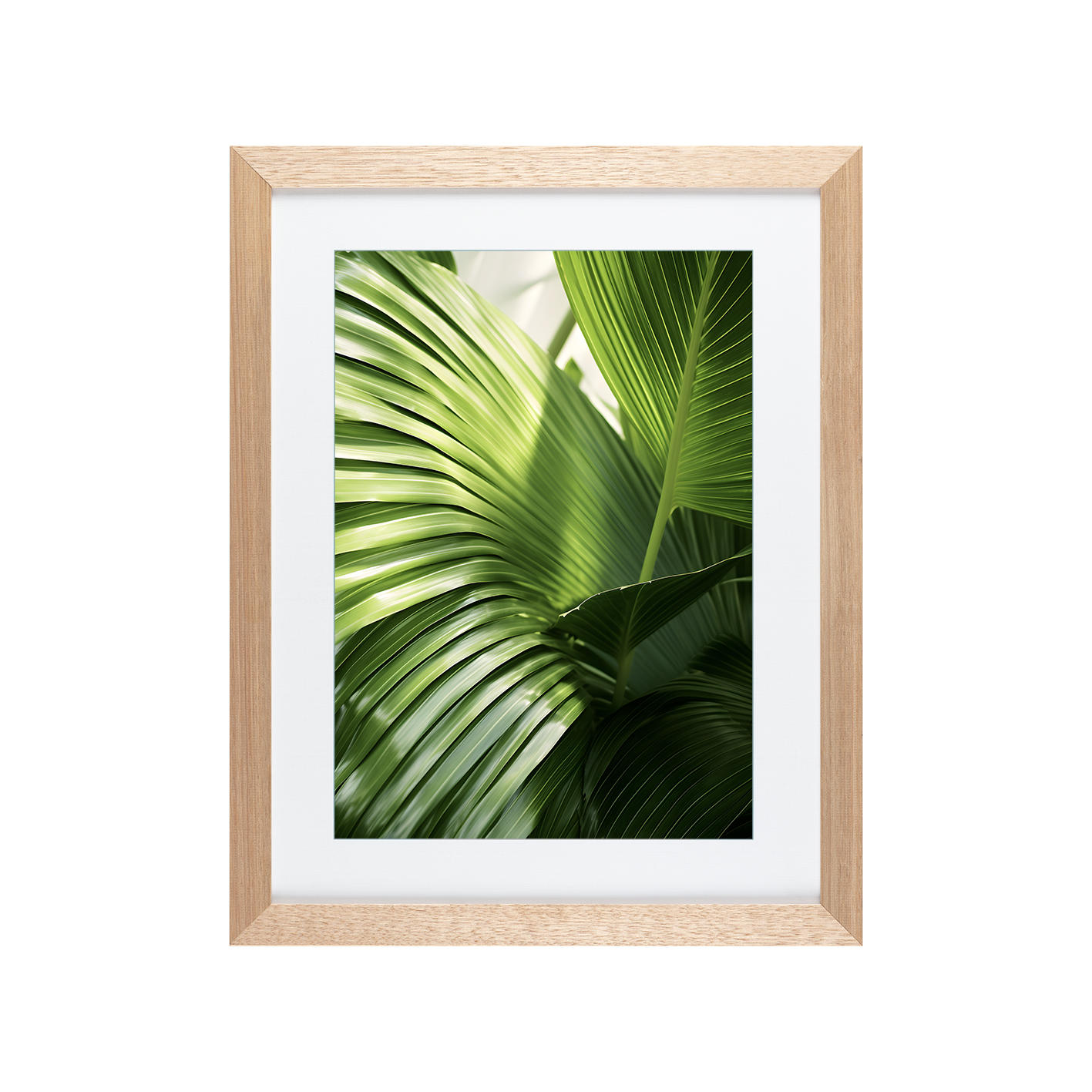 Green Palm Fronds Flora FOLHAGENS_09 - Image 2