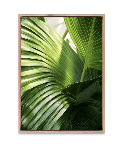 Green Palm Fronds Flora FOLHAGENS_09 - Image 5