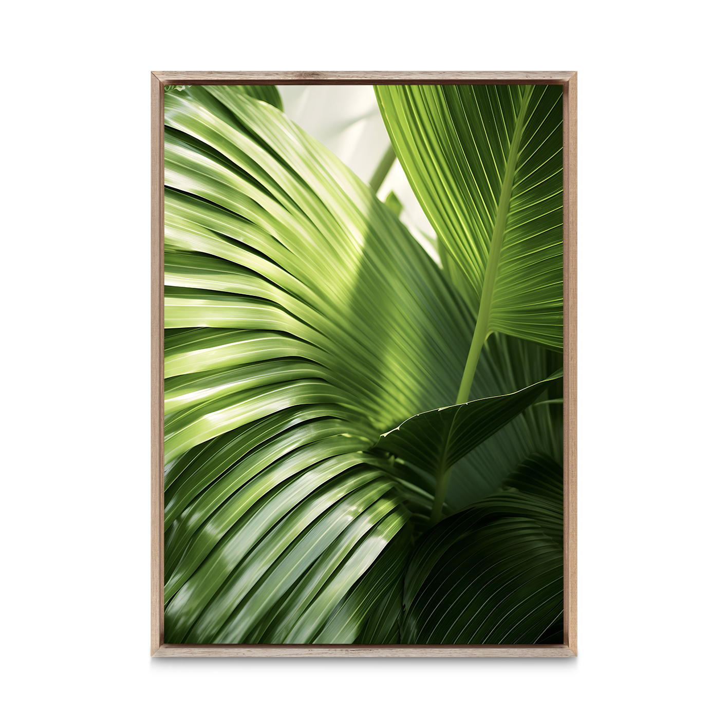 Green Palm Fronds Flora FOLHAGENS_09 - Image 5