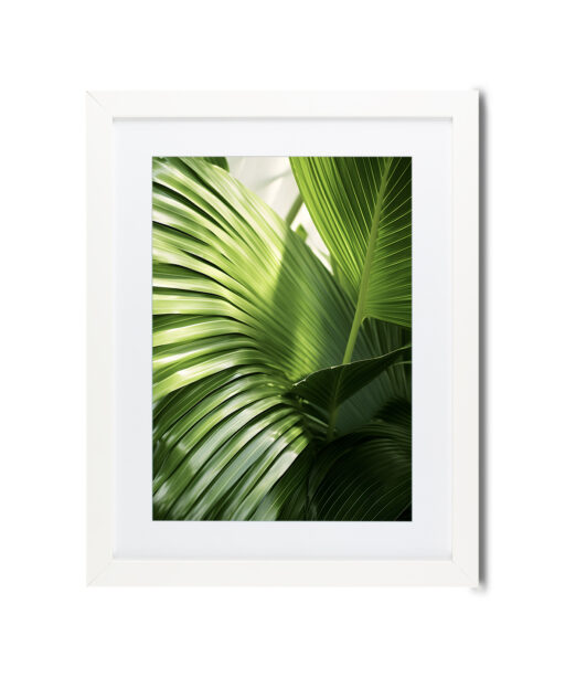 Green Palm Fronds Flora FOLHAGENS_09 - Image 3