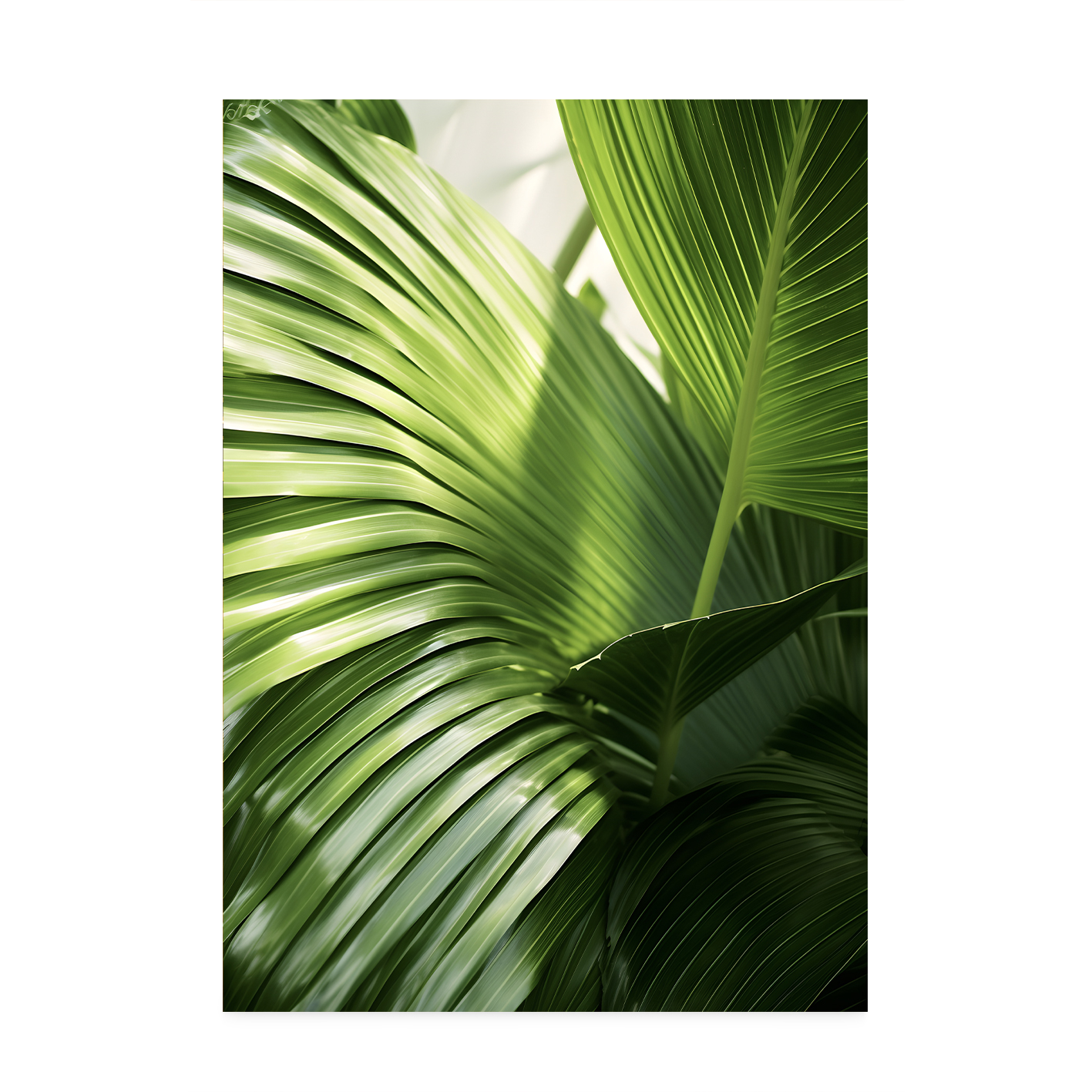 Green Palm Fronds Flora FOLHAGENS_09 - Image 7