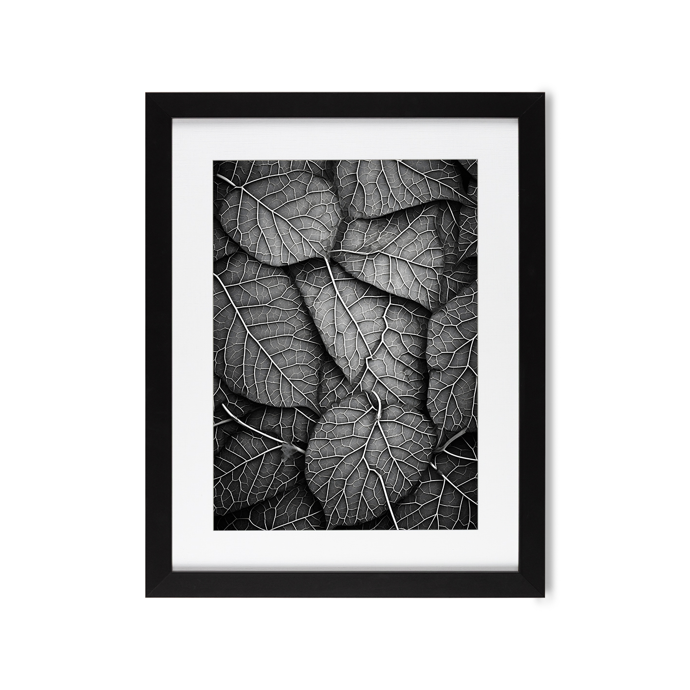 Silver Leaf Flora FOLHAGENS_11 - Image 4