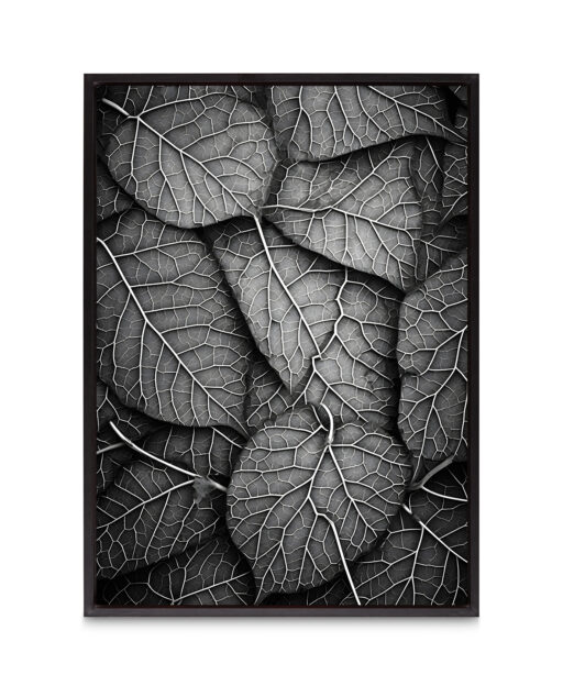Silver Leaf Flora FOLHAGENS_11 - Image 8