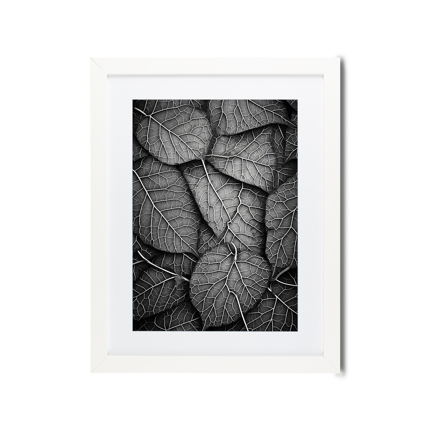 Silver Leaf Flora FOLHAGENS_11 - Image 3