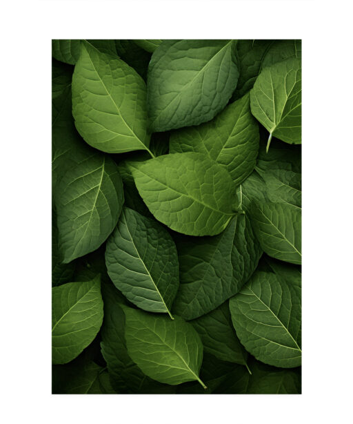 Layered Leaves 3 Flora FOLHAGENS_12 - Image 7