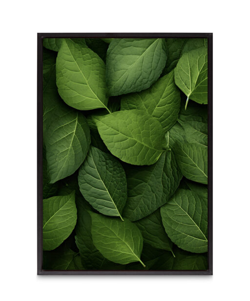 Layered Leaves 3 Flora FOLHAGENS_12 - Image 8