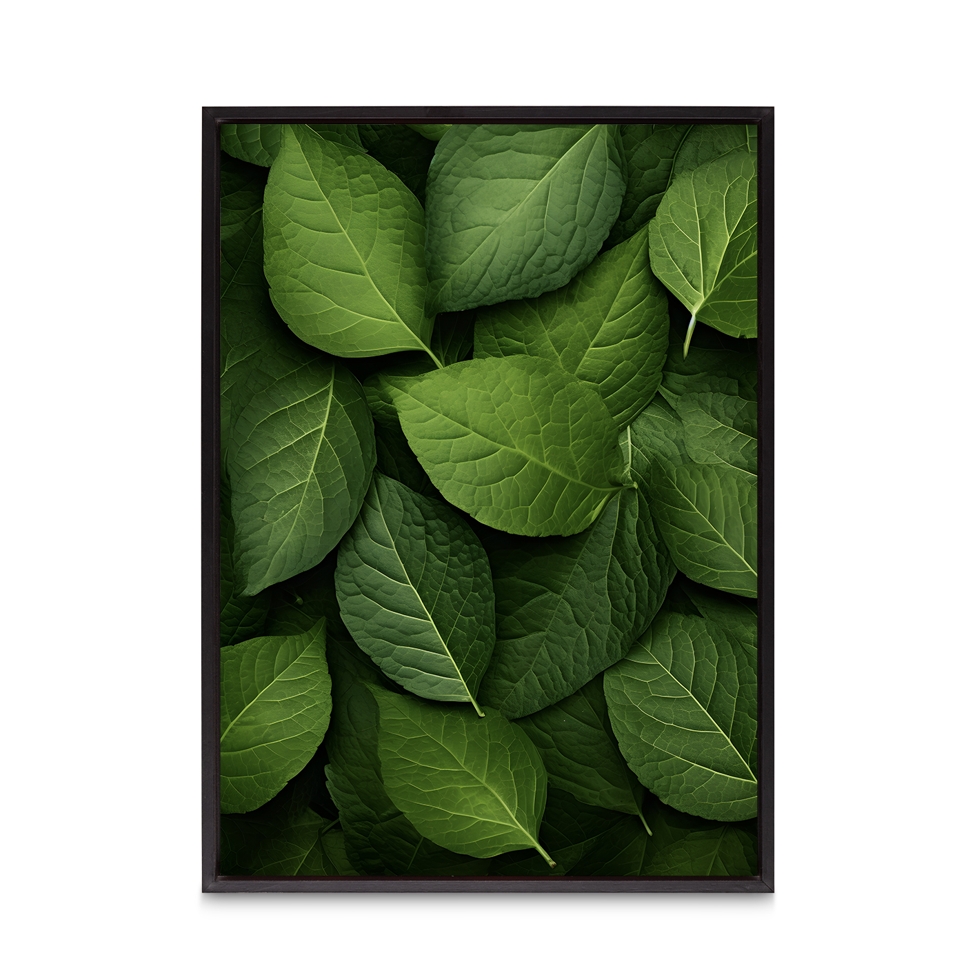 Layered Leaves 3 Flora FOLHAGENS_12 - Image 8