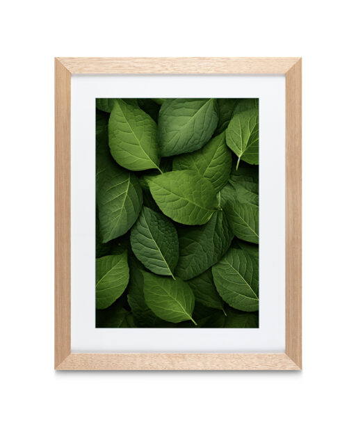 Alternative view of Layered Leaves 3 Flora FOLHAGENS_12